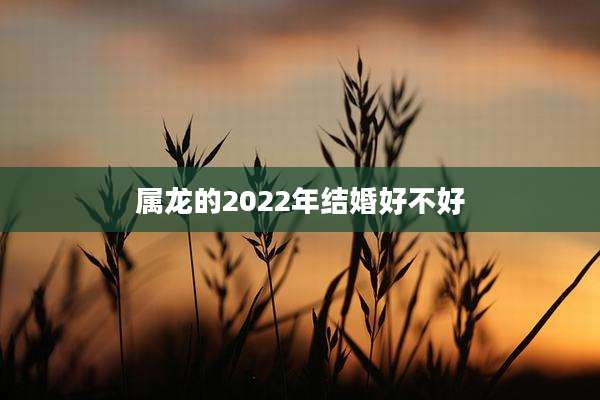 属龙的2022年结婚好不好