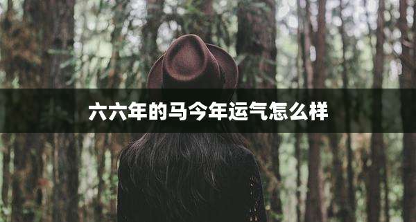 六六年的马今年运气怎么样