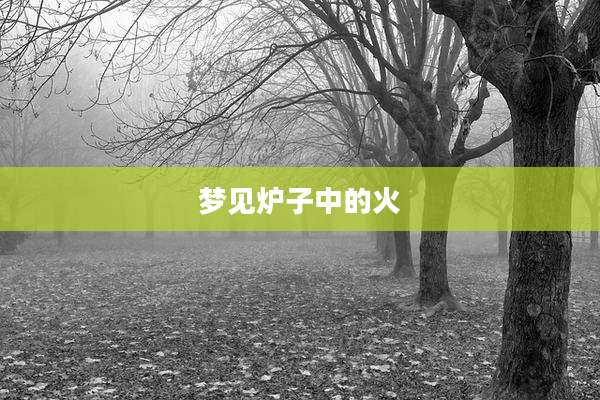 梦见炉子中的火