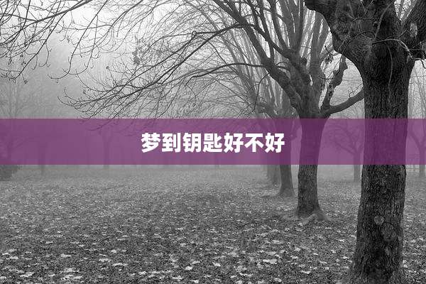 梦到钥匙好不好