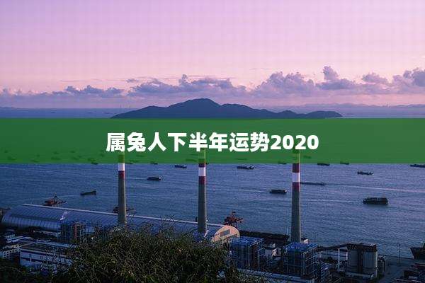 属兔人下半年运势2020