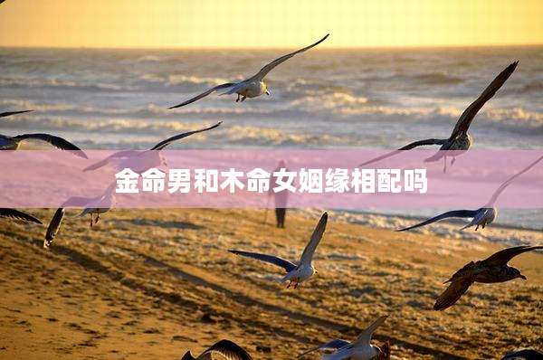 金命男和木命女姻缘相配吗