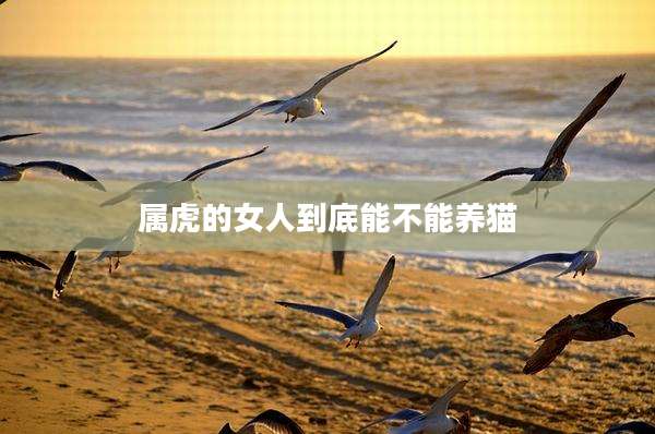 属虎的女人到底能不能养猫
