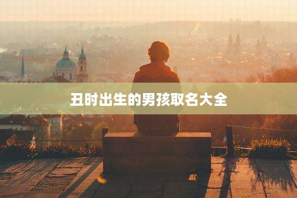 丑时出生的男孩取名大全