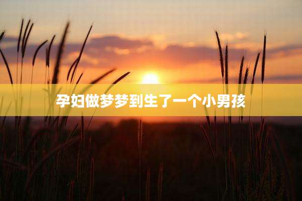 孕妇做梦梦到生了一个小男孩