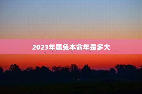 2023年属兔本命年是多大