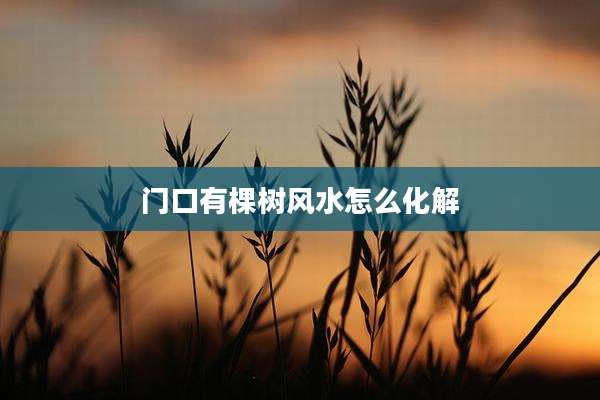 门口有棵树风水怎么化解