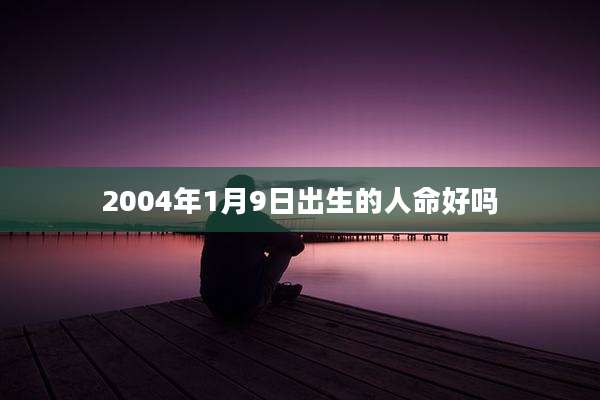 2004年1月9日出生的人命好吗