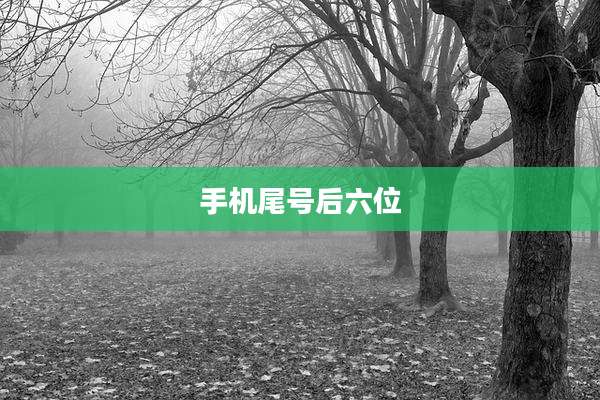 手机尾号后六位