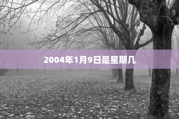 2004年1月9日是星期几