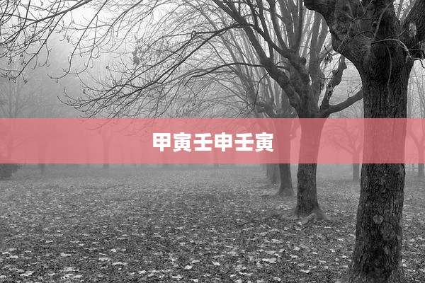甲寅壬申壬寅