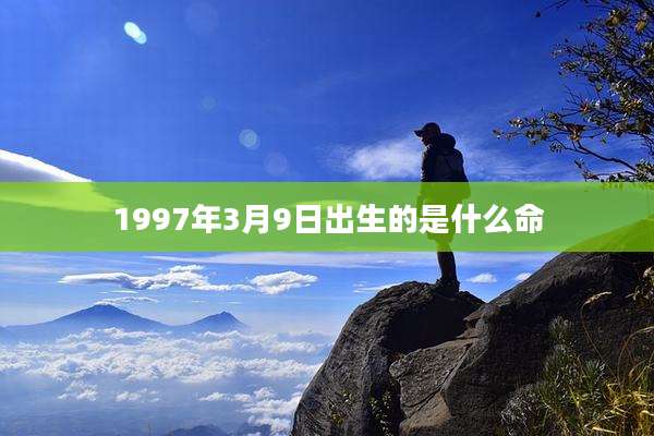 1997年3月9日出生的是什么命