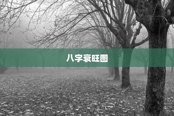 八字衰旺图