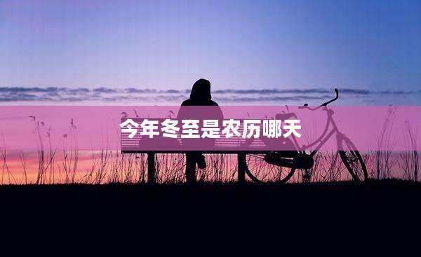 今年冬至是农历哪天
