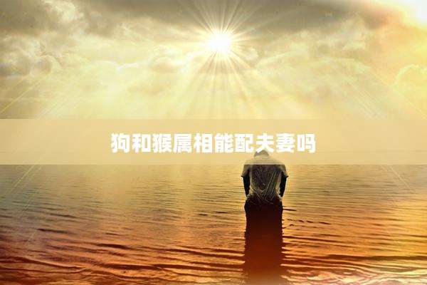 狗和猴属相能配夫妻吗