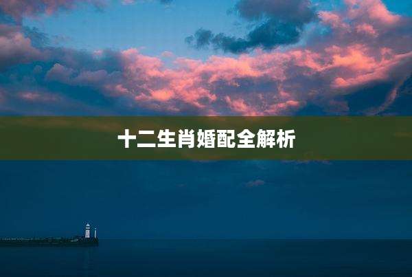 十二生肖婚配全解析