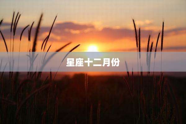 星座十二月份