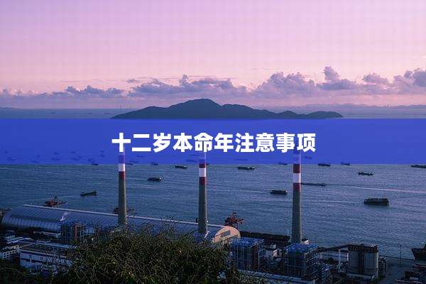 十二岁本命年注意事项