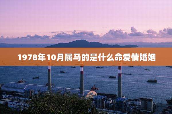 1978年10月属马的是什么命爱情婚姻