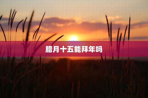 腊月十五能拜年吗