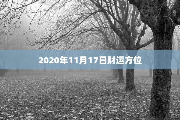 2020年11月17日财运方位