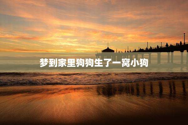 梦到家里狗狗生了一窝小狗