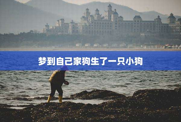 梦到自己家狗生了一只小狗