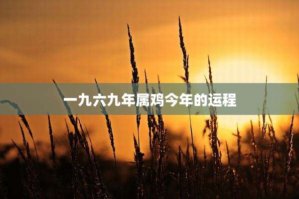 一九六九年属鸡今年的运程