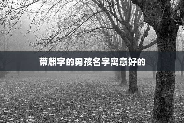 带麒字的男孩名字寓意好的