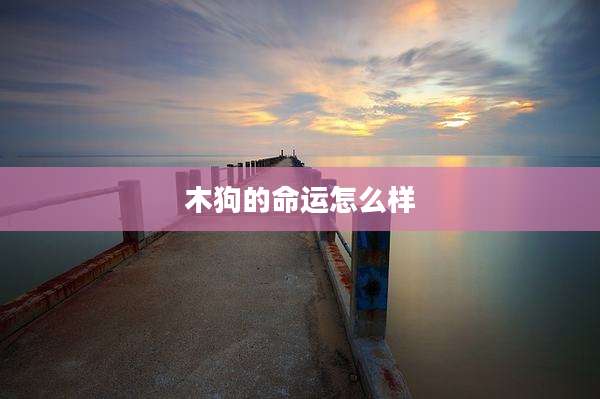 木狗的命运怎么样