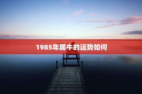 1985年属牛的运势如何