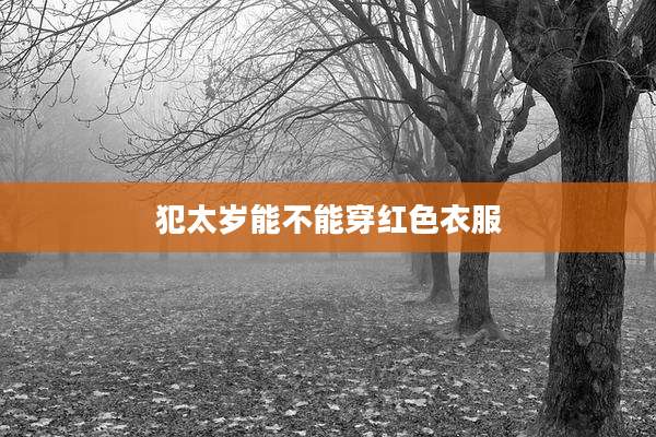 犯太岁能不能穿红色衣服