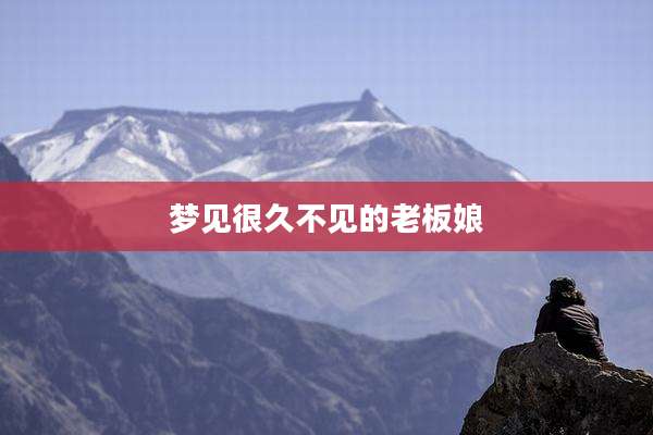 梦见很久不见的老板娘