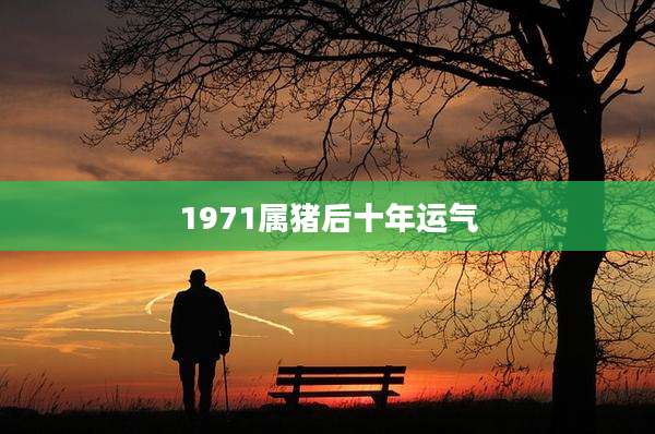 1971属猪后十年运气