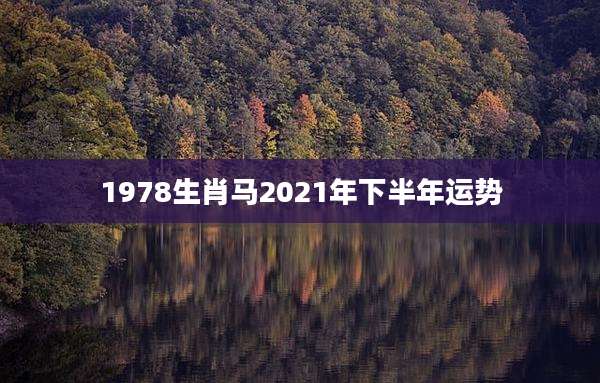1978生肖马2021年下半年运势