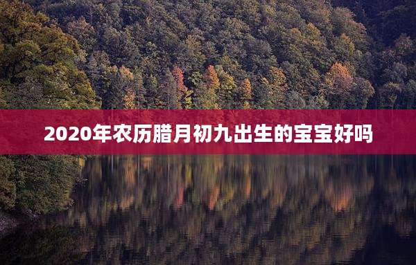 2020年农历腊月初九出生的宝宝好吗