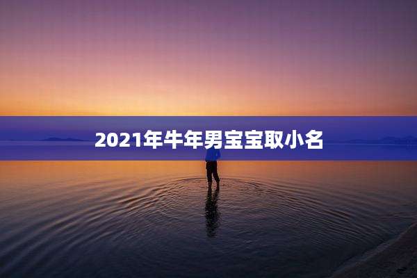2021年牛年男宝宝取小名