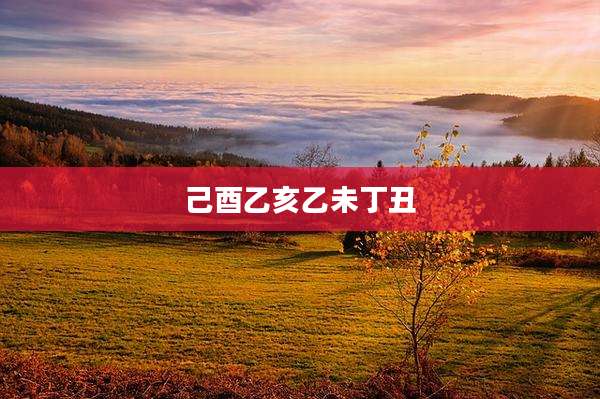 己酉乙亥乙未丁丑