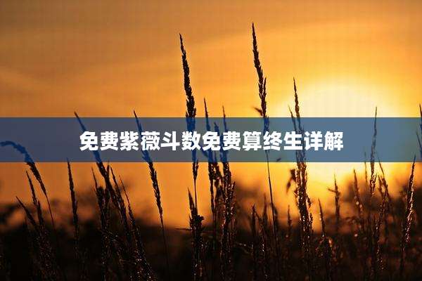 免费紫薇斗数免费算终生详解
