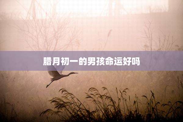 腊月初一的男孩命运好吗