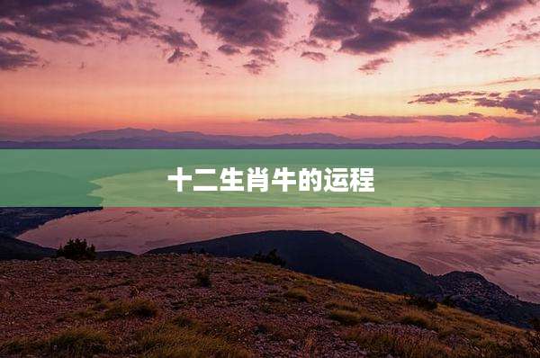 十二生肖牛的运程