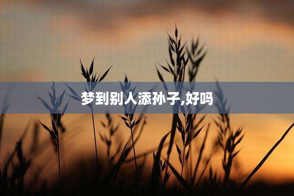 梦到别人添孙子,好吗