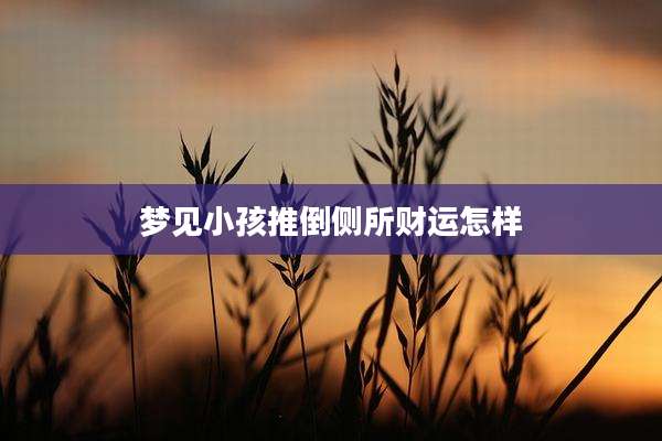 梦见小孩推倒侧所财运怎样