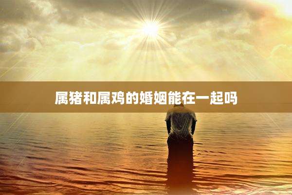 属猪和属鸡的婚姻能在一起吗