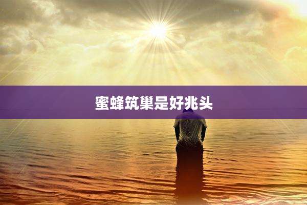蜜蜂筑巢是好兆头