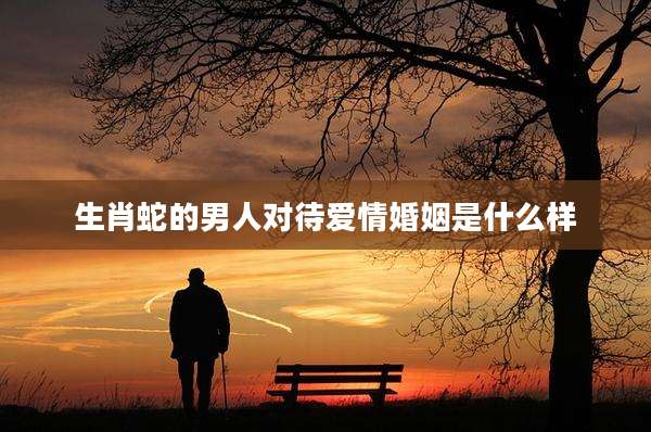 生肖蛇的男人对待爱情婚姻是什么样