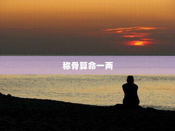 称骨算命一两