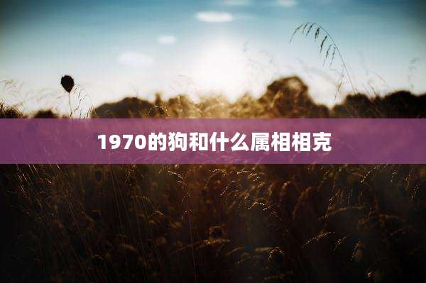 1970的狗和什么属相相克
