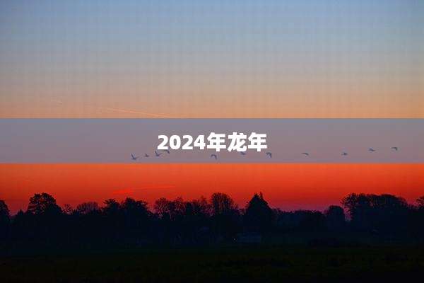 2024年龙年