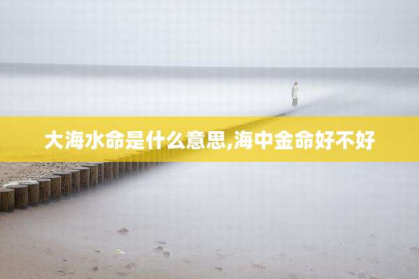大海水命是什么意思,海中金命好不好